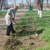 Субботник