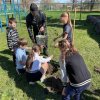День древонасаждения