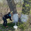 Всероссийский субботник