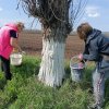 Всероссийский субботник