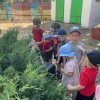 «В поисках сокровищ» для воспитанников детского сада «Теремок»