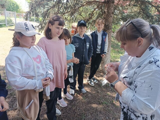 IMG 20250610 130012 229